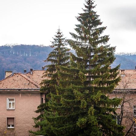 Quibio Apart Terrace Braşov Buitenkant foto