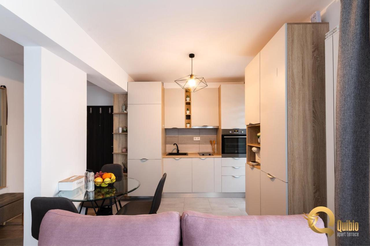 Quibio Apart Terrace Braşov Buitenkant foto