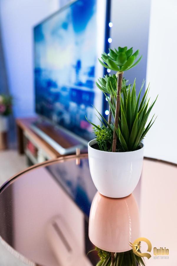 Quibio Apart Terrace Braşov Buitenkant foto