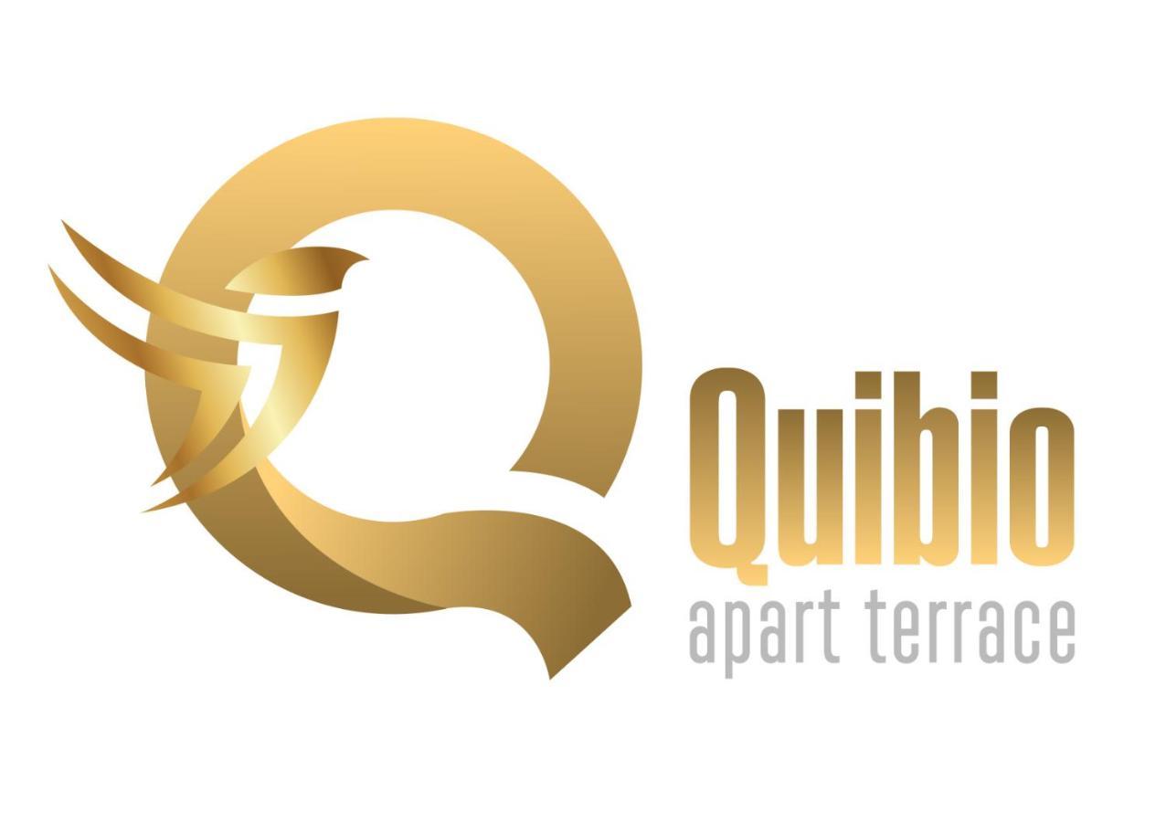 Quibio Apart Terrace Braşov Buitenkant foto