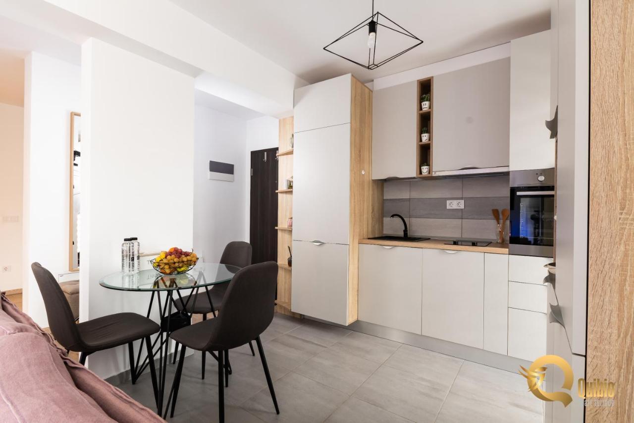 Quibio Apart Terrace Braşov Buitenkant foto